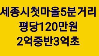 세종시첫마을5분토지장군면산학리금암리싼땅투자최고평당120만원