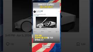 "테슬라에 대한 기대는 허상" (ft. 아담 크리사풀리)