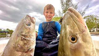 The Craziest Fishing Video I’ve Filmed yet!  (Cobia Moonfish and Snapper Catch Clean & Cook)