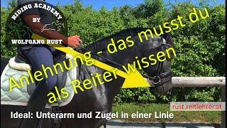 F27: Pferde mit feiner Anlehnung am Zügel reiten lernen, Kriterien, Fehler. Die feine Zügelhilfe!