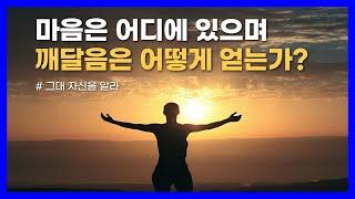 마음은 어디에 있으며, 깨달음을 얻기 위해서 어떻게 해야 하는가?｜그대 자신을 알라