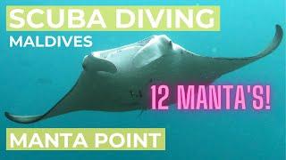 Scuba Diving Manta Point in the Maldives with 12 mantas!