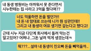 (썰극장)내 동생 병원비는 아까워 하면서 시누한테는 집사라고 3억을 준 남편..이혼 후 시누한테 사기 당한 남편놈이 도와달라 비는데ㅋ[라디오드라마][사연라디오][카톡썰]