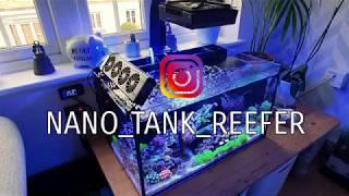 Innovative Marine Nuvo Fusion 20 - Tank Tour