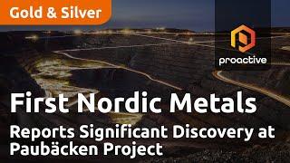 First Nordic Metals Reports Significant Discovery at Paubäcken Project in Northern Sweden