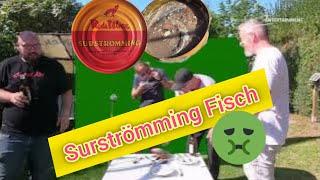 SurStrömming   - Delikatesse aus Schweden