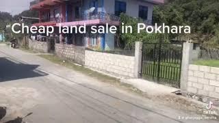 Cheap land sale in pokhara || Land sale in begnas tal pokhara |