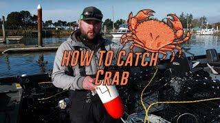 How To Catch Crab: Setup & Baiting 
