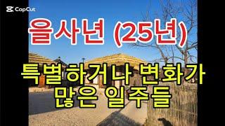 을사년(25년)변화많은 일주들-천충지충,복음,천합지합,천합지형