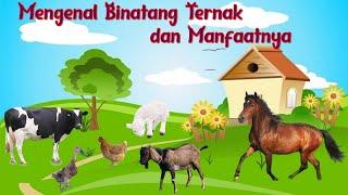 MENGENAL BINATANG TERNAK DAN MANFAAT NYA|PEMBELAJARAN TK