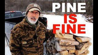 PINE IS FINE! - #581