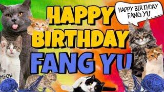 Happy Birthday Fang Yu! Crazy Cats Say Happy Birthday Fang Yu (Very Funny)