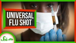 Could we Have Universal Flu Vaccine?