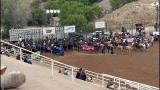 Team Roping Levi Lord
