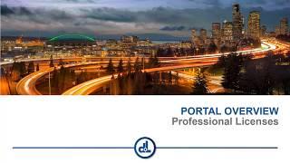 Portal overview for professional licenses