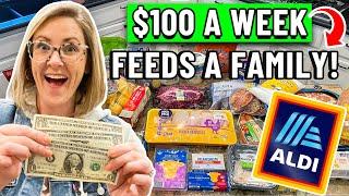 REALISTIC BUDGET MEAL PLAN $100 for a WEEK of FAMILY MEALS // $3 a Day per Person!