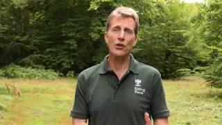 An Introduction to Wood Pasture and Parkland