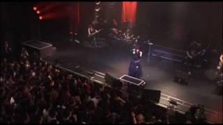 Yousei Teikoku - Vampire LIVE (denkare cover)