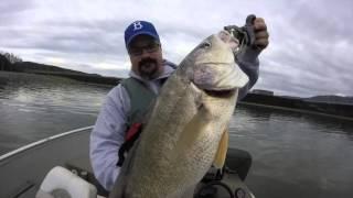 Nickajack Dam Trolling for Bass , White Bass, and Drum - Christmas Eve!