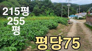 충남공주시 내흥리 답 대지  계획관리   평당75  215평  255평  공사할꺼  없어요