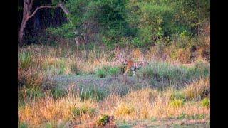 KANHA PHOTOGRAPHY TOUR