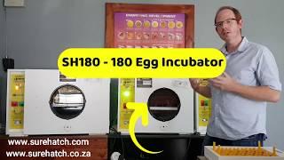 180 Egg Incubator and Hatcher Review - Surehatch SH180