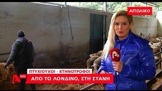 Πτυχιούχοι Κτηνοτρόφοι - Από το Λονδίνο στη στάνη!