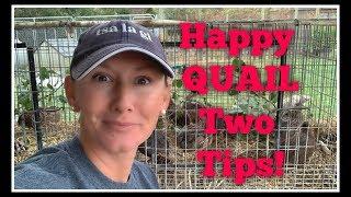 Happy QUAIL! Two MUST Do's!