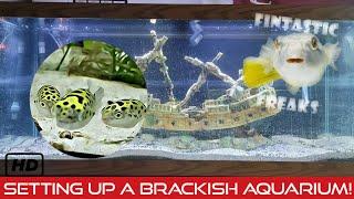 Setting Up A Brackish Water Aquarium! Green Spotted Puffer Upgrade! Pt.1