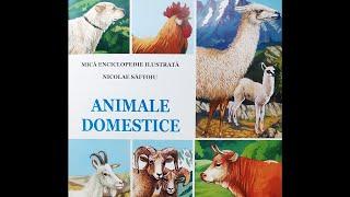 ANIMALE DOMESTICE - Mică enciclopedie ilustrată | Videoclip educativ pentru copii 