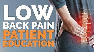 Low Back Pain | Chiropractic Patient Education Video for Streaming in Your Practice