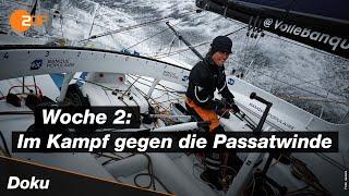 Vendée Globe: Auf Kurs bleiben | SPORTreportage - ZDF