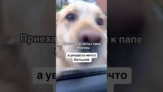 Как раскрыть женственность и притянуть мужчину мечты? Медитация. Техника. Практика #психология