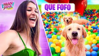 MEUS CACHORROS EM UMA PISCINA DE BOLINHAS - Fran Japa