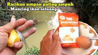 Racikan Umpan Jitu Mancing Ikan Seluang