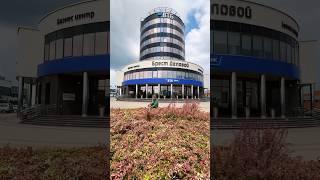 Стрижка декоративных растений | Брест Беларусь
