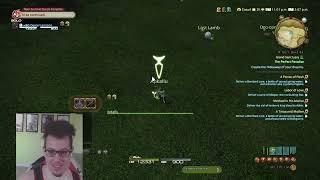 [Crystal/Coeurl] Island Sanctuary Check-In Before We Dive Into The New Raids! Part 1