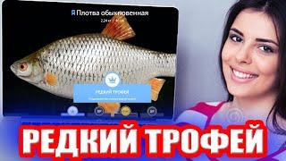 СИНЯЯ ПЛОТВА на р.СУРА ● Русская Рыбалка 4 | РР4