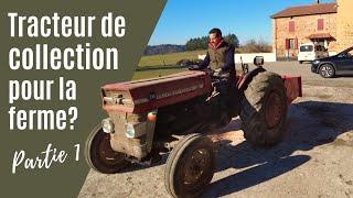 MASSEY FERGUSSON VS INTERNATIONAL HARVESTER : quel tracteur pour notre ferme? - EP14