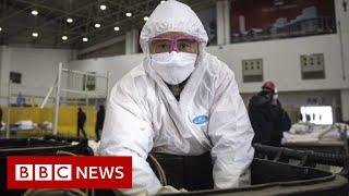 Coronavirus disease named Covid-19 - BBC News