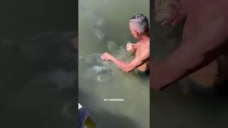 Добрый человек кормит рыб