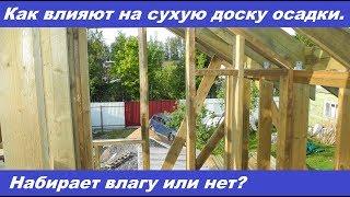 Как влияют на сухую доску атмосферные осадки. Набирает доска влагу или нет?