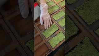 Dubai Chocolate Viral Pistachio Dubai Chocolate Bar #DubaiChocolate #Chocolate #ASMR