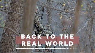 Back to the Real World | Wild Hixsons