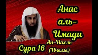 16 сура Ан-Нахль (Пчелы) Анас Аль Имади