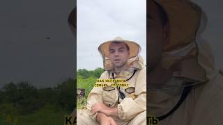 ЧТО ДЕЛАТЬ С МАТКОЙ ТРУТОВКОЙ ? ВИДЕО БЕЗ ВОДЫ !