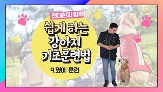 [함께쉽개] 강아지 기초훈련법 9탄, 옆에 훈련이란?