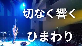 北海道大空町で名曲「ひまわり／ヘンリーマンシーニ」を演奏したら切ないメロディーに涙が止まらない…