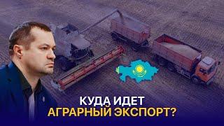 ТОП-10 покупателей казахстанской сельхозпродукции: страны, объемы и перспективы