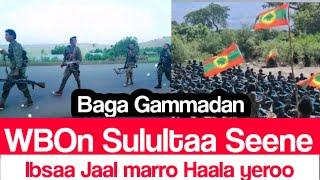 OMN: ODDU AMME - WBOn Magaala Sulultaa Seenun Lolaa cimma Gageesu Jalqabe Kunoo Daawadha || ሰበር ዜና